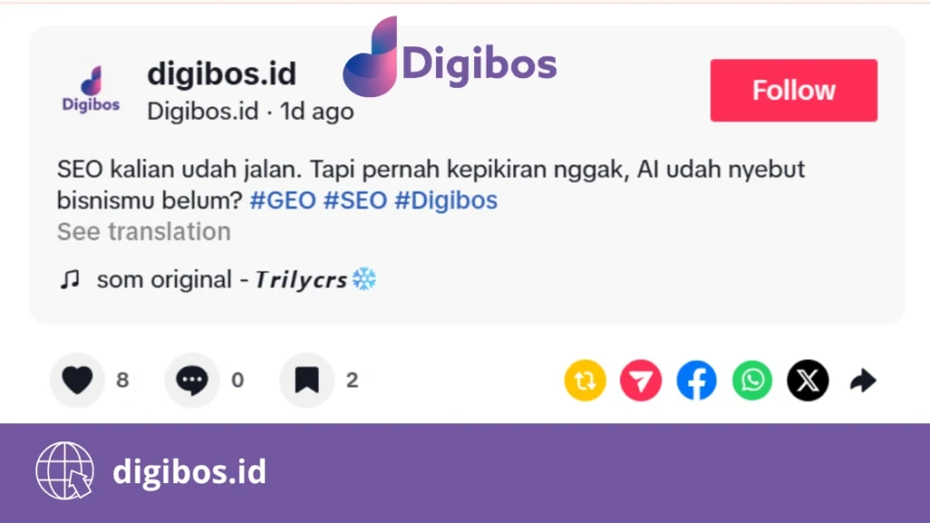 SEO TikTok