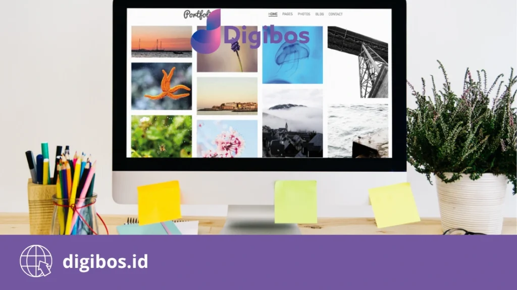 portofolio