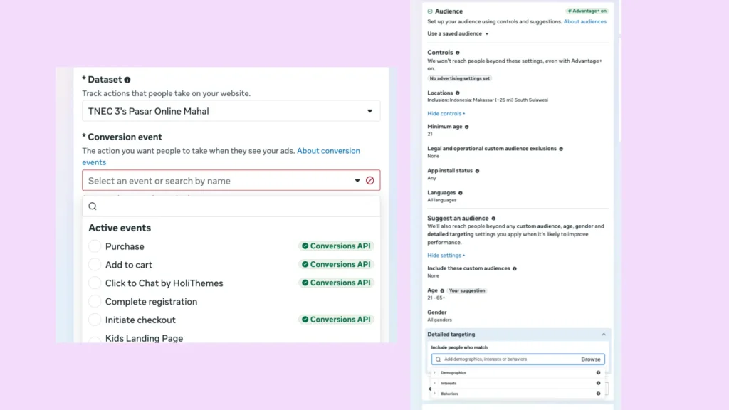 Setting Meta Ads Audience